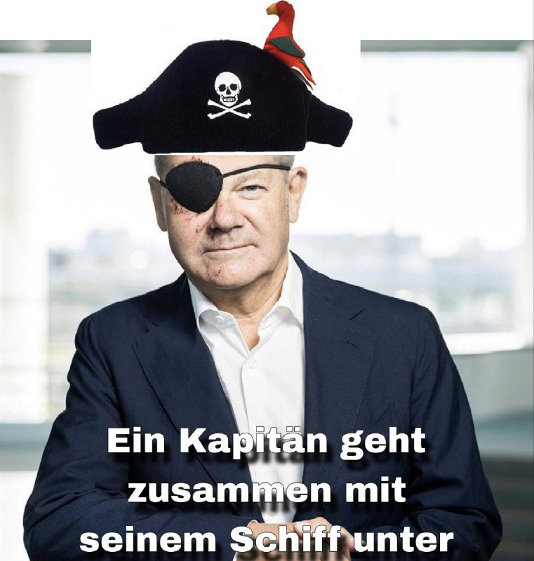 German President Frank-Walter Steinmeier has issued dismissal certificates to C…