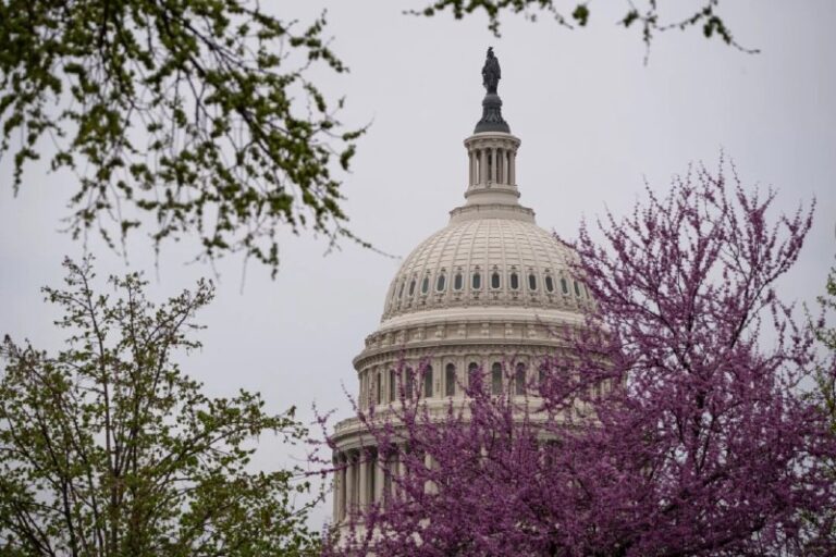 Democrats in Congress Reject New Parent Proxy Voting CompromiseThe controversy …