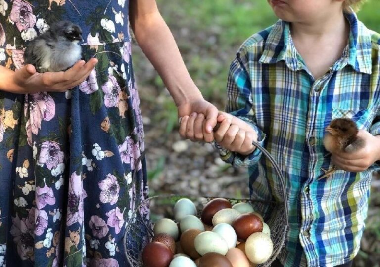 CALIFORNIA CHICKEN FARMER ADVOCATES FOR HUMANE BUSINESS PRACTICEFranchesca Duva…