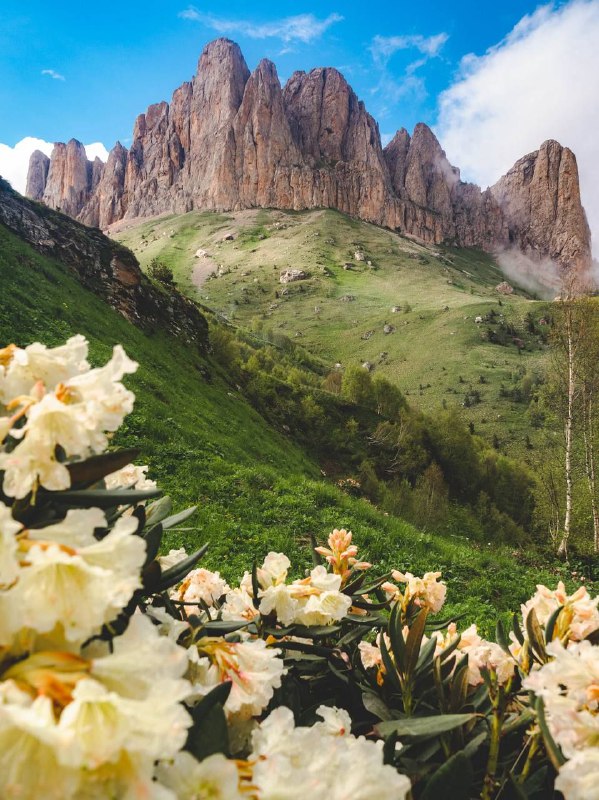 Tucked away in the western part of the Caucasus Mountains, Bolshoy Thach Nation…