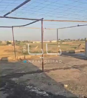 This morning, some of the foreign members of Al-Julani’s gangs reportedly launc…