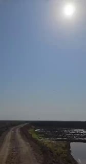 – Scenes from central Syria. The unmistakable sound and visual of Shahed-136 sui…