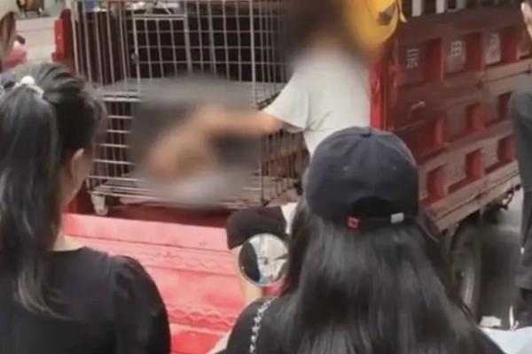 Viral Caged Toddler Video in China Rekindles Human Trafficking SuspicionsRead h…
