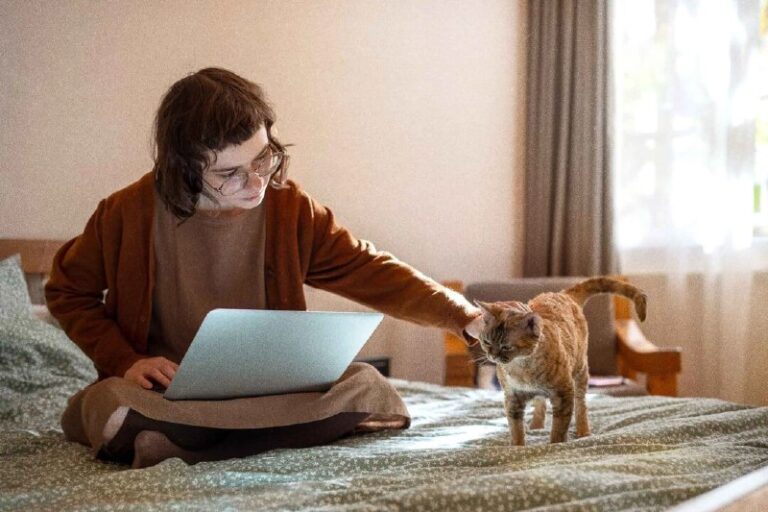 Rising Costs of US Pet Services Could Dampen Adoptions by RetireesFull story ht…