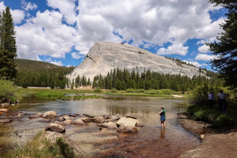 Largest Campground at Yosemite National Park to Reopen After $26 Million Renova…