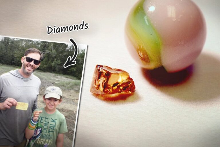 Boy Pulls Shining Gem From Soil in State Park Where Volcanic Crater Yields Diam…