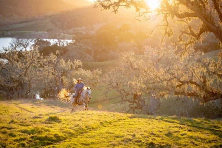 11 Dude Ranches for a Western-Inspired GetawayRead the article for freehttps://…