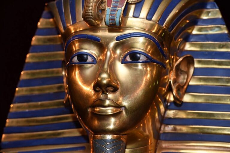 An Ancient Egyptian Tea That Can Cure 100 AilmentsThis tea has found its way in…