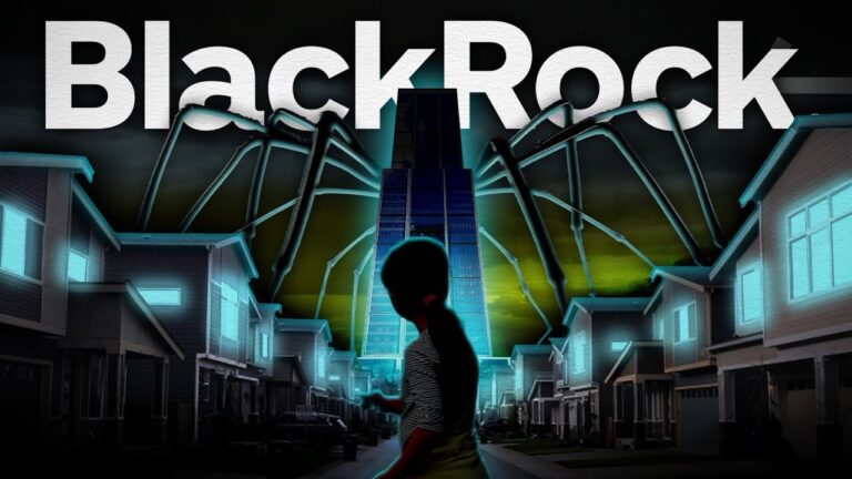 BlackRock to absorb part of the public care system